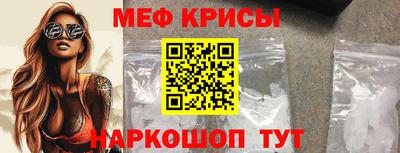 гашик Моздок