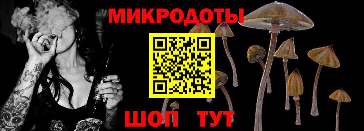 Зеленодольск  Псилоцибиновые грибы прущие грибы  Псилоцибиновые грибы Psilocybe  Вход с VPN 