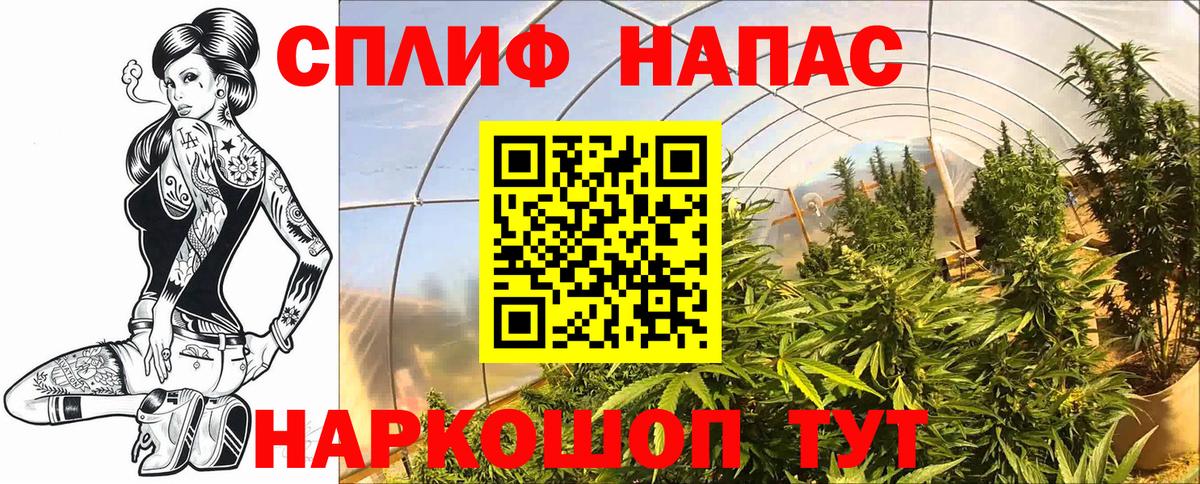 МАРИХУАНА сатива  Марихуана SATIVA & INDICA  Зеленодольск  Вход с VPN  Бошки марихуана Bruce Banner 